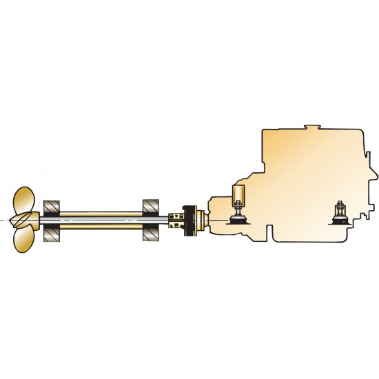Type Bullflex 01 voor asdiameter D 20 mm