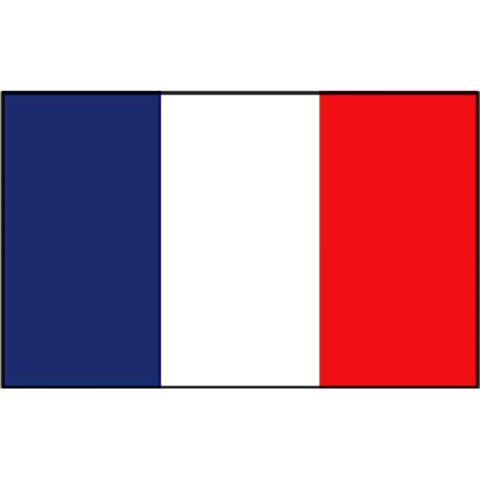 FRANSE VLAG 40X60