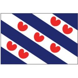 FRIESE VLAG 100X150