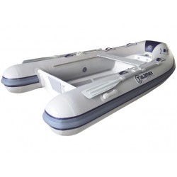  RIB SILVERLINE 310 