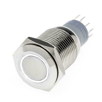 Hollex Drukknop rvs 24V puls LED wit